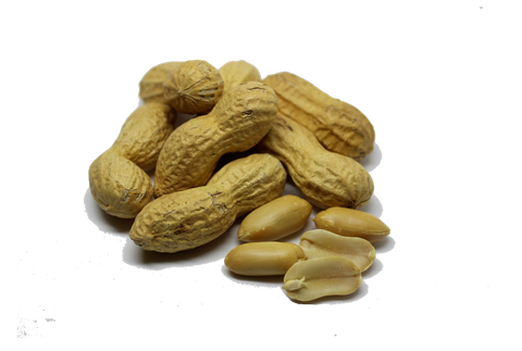 Erdnüsse in der Schale 375 g