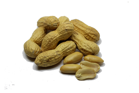 Vers gebrande doppinda's 400g
